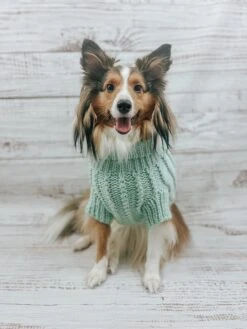 Dog Cable Knit Sweater - Mint 21 Dog Cable Knit Sweater - Mint -Furfinity Cheap Shop AMB23 THEOFFICIALPUP 06