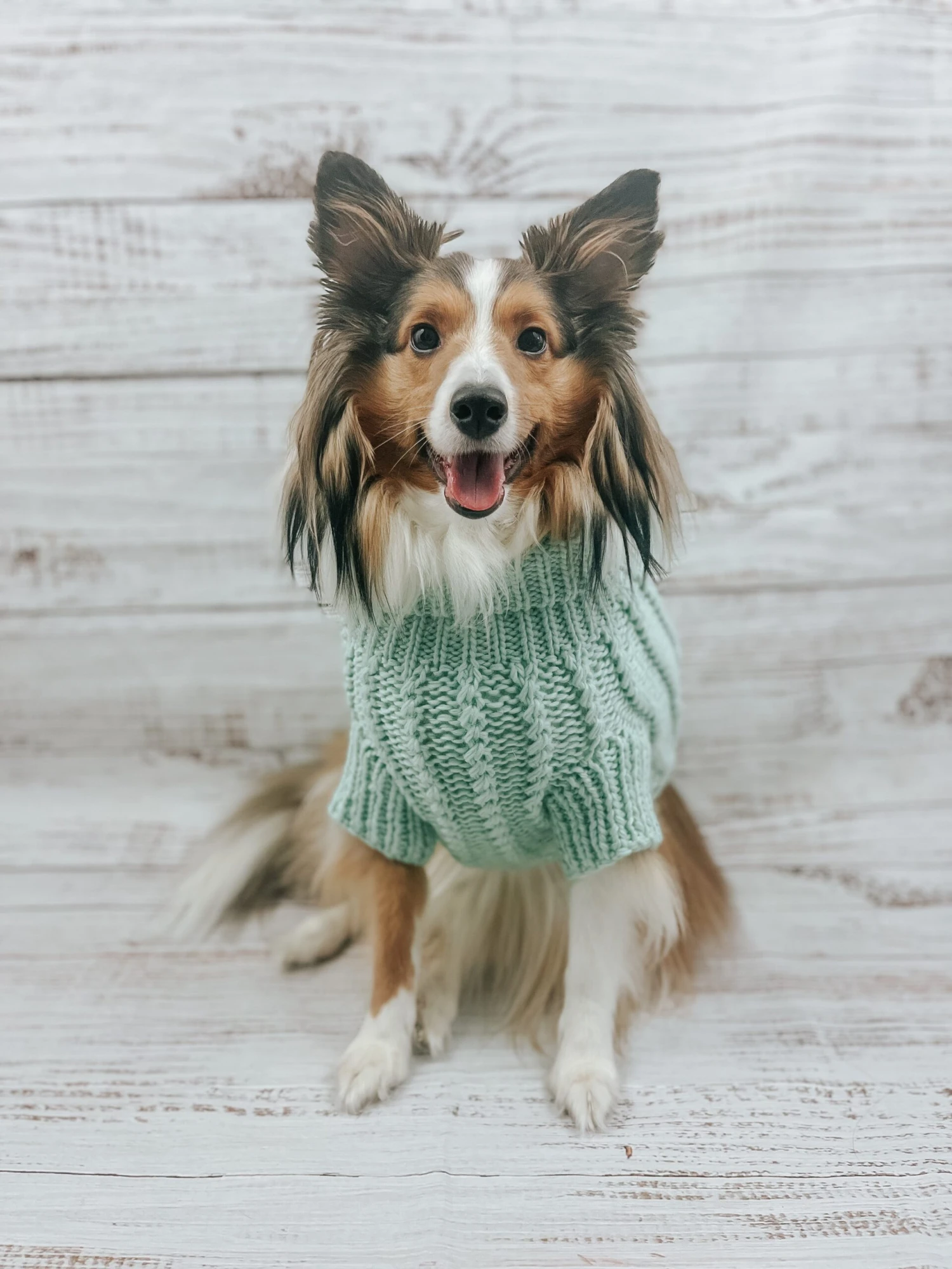 Dog Cable Knit Sweater - Mint 9 Dog Cable Knit Sweater - Mint - Image 7
