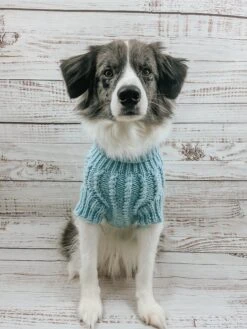 Dog Cable Knit Sweater - Light Blue 28 Dog Cable Knit Sweater - Light Blue -Furfinity Cheap Shop AMB23 THEOFFICIALPUP 07