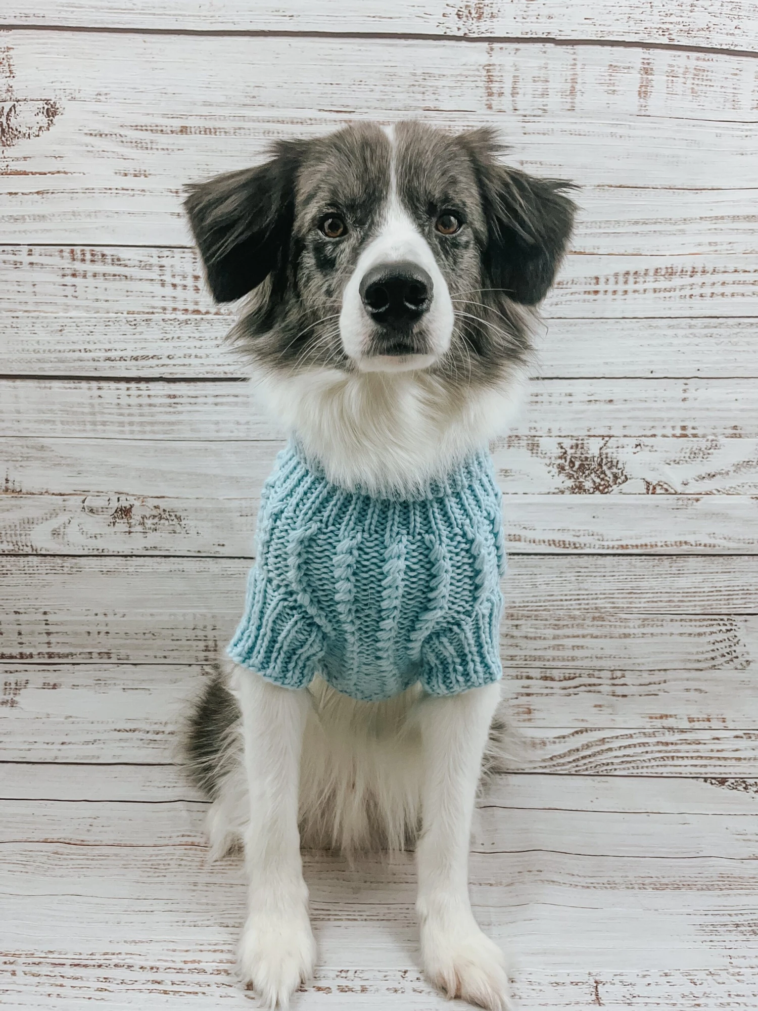 Dog Cable Knit Sweater - Light Blue 14 Dog Cable Knit Sweater - Light Blue - Image 12