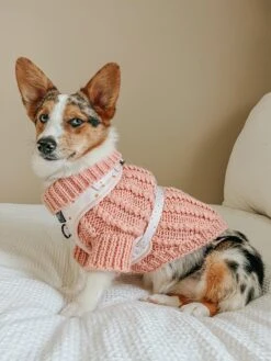 Dog Cable Knit Sweater - Pink -Furfinity Cheap Shop AMB23 WINNIETHE.AUGGIE 2