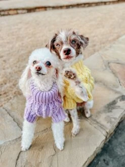 Dog Cable Knit Sweater - Lavender -Furfinity Cheap Shop AMBCKS23 I AM THEBARKMAN 4