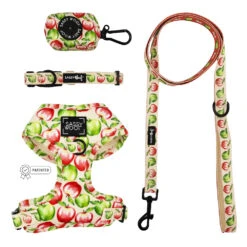 Dog Four Piece Bundle - Apple Of My Eye