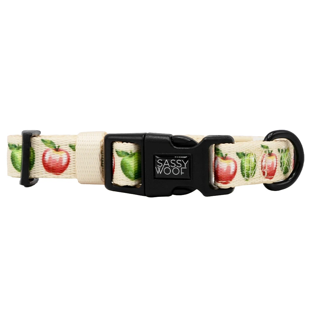 Dog Collar - Apple Of My Eye 4 Dog Collar - Apple Of My Eye - Image 2