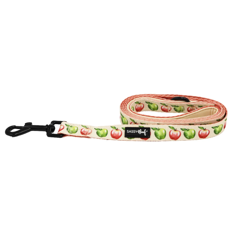 Dog Leash- Apple Of My Eye 4 Dog Leash- Apple Of My Eye - Image 2