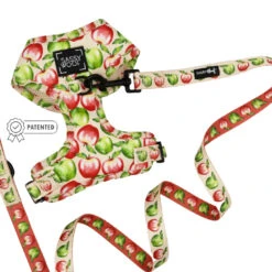 Dog Two Piece Bundle -Apple Of My Eye