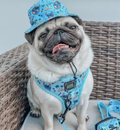 Dog Four Piece Bundle - Disney's Stitch 30 Dog Four Piece Bundle - Disney's Stitch -Furfinity Cheap Shop ATOASTYPUG 2