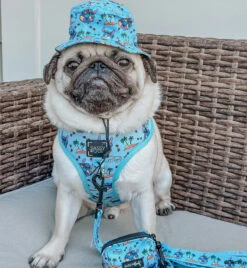 Dog Waste Bag Holder - Disney's Stitch -Furfinity Cheap Shop ATOASTYPUG 4 2c6c627f a0b8 4e22 a548 ef94a093b887