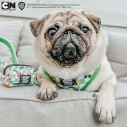 Dog Waste Bag Holder - The Powerpuff Girls™ (Green) 25 Dog Waste Bag Holder - The Powerpuff Girls™ (Green) -Furfinity Cheap Shop ATOASTYPUG PPG 9
