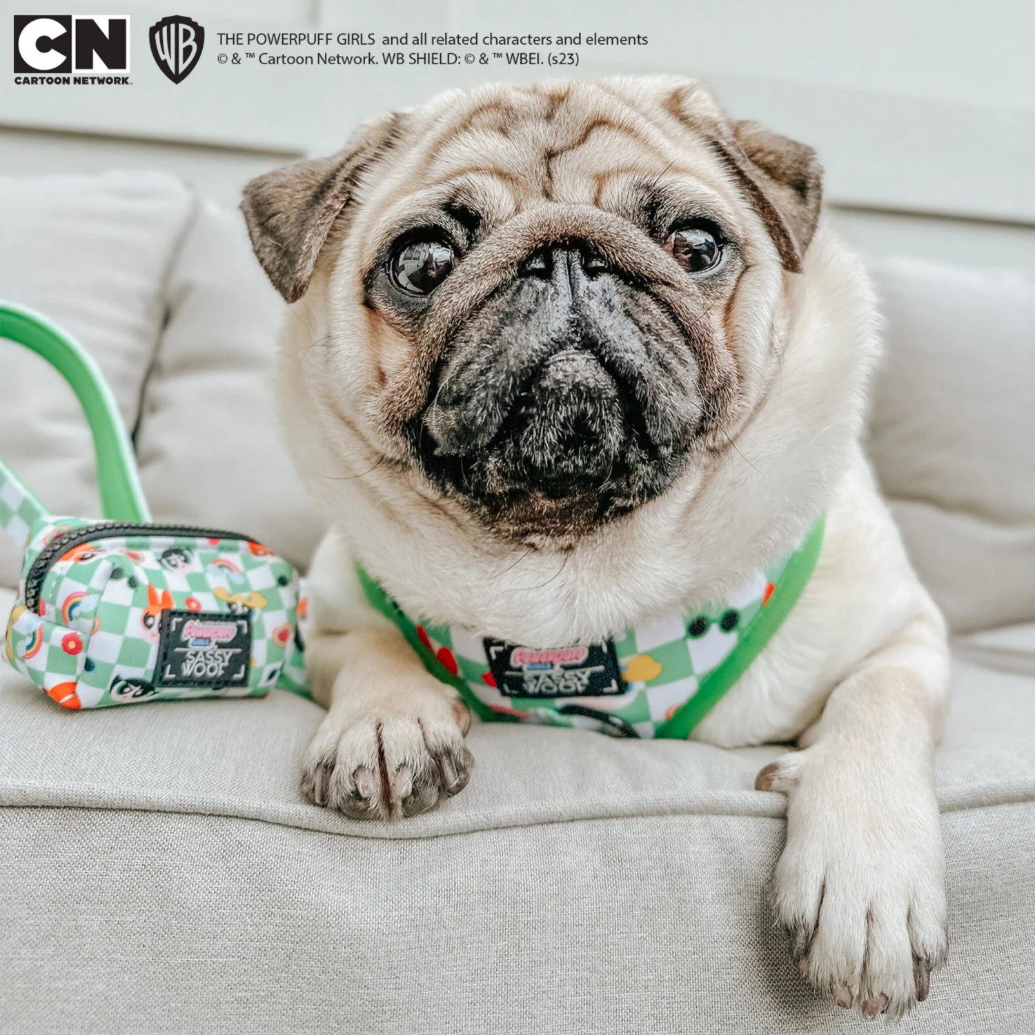 Dog Waste Bag Holder - The Powerpuff Girls™ (Green) 13 Dog Waste Bag Holder - The Powerpuff Girls™ (Green) - Image 11