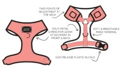 Dog Two Piece Bundle - Nice -Furfinity Cheap Shop AdjustableBenefits 1 998e1af8 b17d 403f 9cd2 713a5f454537 7