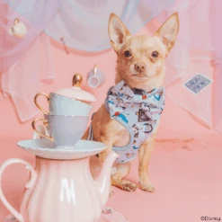 Dog Sailor Bow - Alice In Wonderland (Blue) -Furfinity Cheap Shop AliceinWonderland XSmall DogModel RAT AND BUG 2