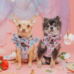 Dog Two Piece Bundle -Alice In Wonderland (Blue) -Furfinity Cheap Shop AliceinWonderland XSmall DogModel RAT AND BUG PEANUTPARTI 2