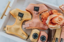 Dog Adjustable Harness - Sunflower Fields -Furfinity Cheap Shop Apple Cider Dog Bundle Adjustable Harness 1