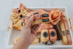 Dog Collar - Apple Cider -Furfinity Cheap Shop Apple Cider Dog Bundle Collar 1of1