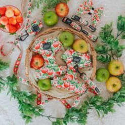 Dog Four Piece Bundle - Apple Of My Eye -Furfinity Cheap Shop AppleOfMyEye Product Photos 2