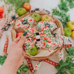 Dog Sailor Bow - Apple Of My Eye -Furfinity Cheap Shop AppleOfMyEye Product Photos 5