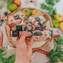 Dog Collar - Apple Of My Eye 12 Dog Collar - Apple Of My Eye -Furfinity Cheap Shop AppleOfMyEye Product Photos 6