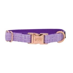 Collar Three Piece Bundle - Aurora 15 Collar Three Piece Bundle - Aurora -Furfinity Cheap Shop Aurora dog collar