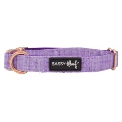 Dog Collar - Aurora -Furfinity Cheap Shop Aurora dog collar2 49f4a6d5 5040 429a 9df6 40c80f4302db