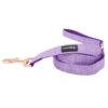 Dog Leash - Aurora -Furfinity Cheap Shop AuroraLeash
