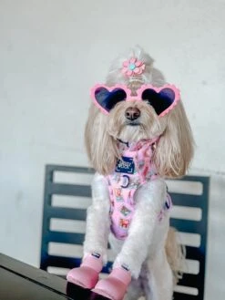 Dog Two Piece Bundle - Out Of Office -Furfinity Cheap Shop BAILEYTHEQUARENDOGGO 1 eb5bc207 b926 4b7f 8370 3f74c8557dfb