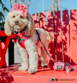 Dog Sailor Bow - The Powerpuff Girls™ (Love) -Furfinity Cheap Shop BAILEYTHEQUARENDOGGO abae5879 3877 4c5b a287 2cc1c37cb60b