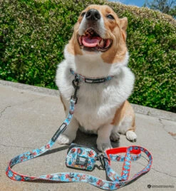 Dog Waste Bag Holder - Looney Tunes™ Blue -Furfinity Cheap Shop BAMBOO THELOAF 2 9442a6ad 9b0c 4d8c a13d aed46515fbeb