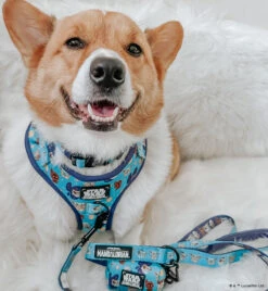 Dog Four Piece Bundle - STAR WARS™ The Mandalorian™ -Furfinity Cheap Shop BAMBOO THELOAF 3