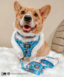 Dog Two Piece Bundle -The Powerpuff Girls™ (Blue) -Furfinity Cheap Shop BAMBOO THELOAF 4 2b2e289a 56c0 4789 91ff 5b33d695e1c2