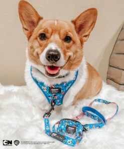 Dog Waste Bag Holder - The Powerpuff Girls™ (Blue) -Furfinity Cheap Shop BAMBOO THELOAF 5