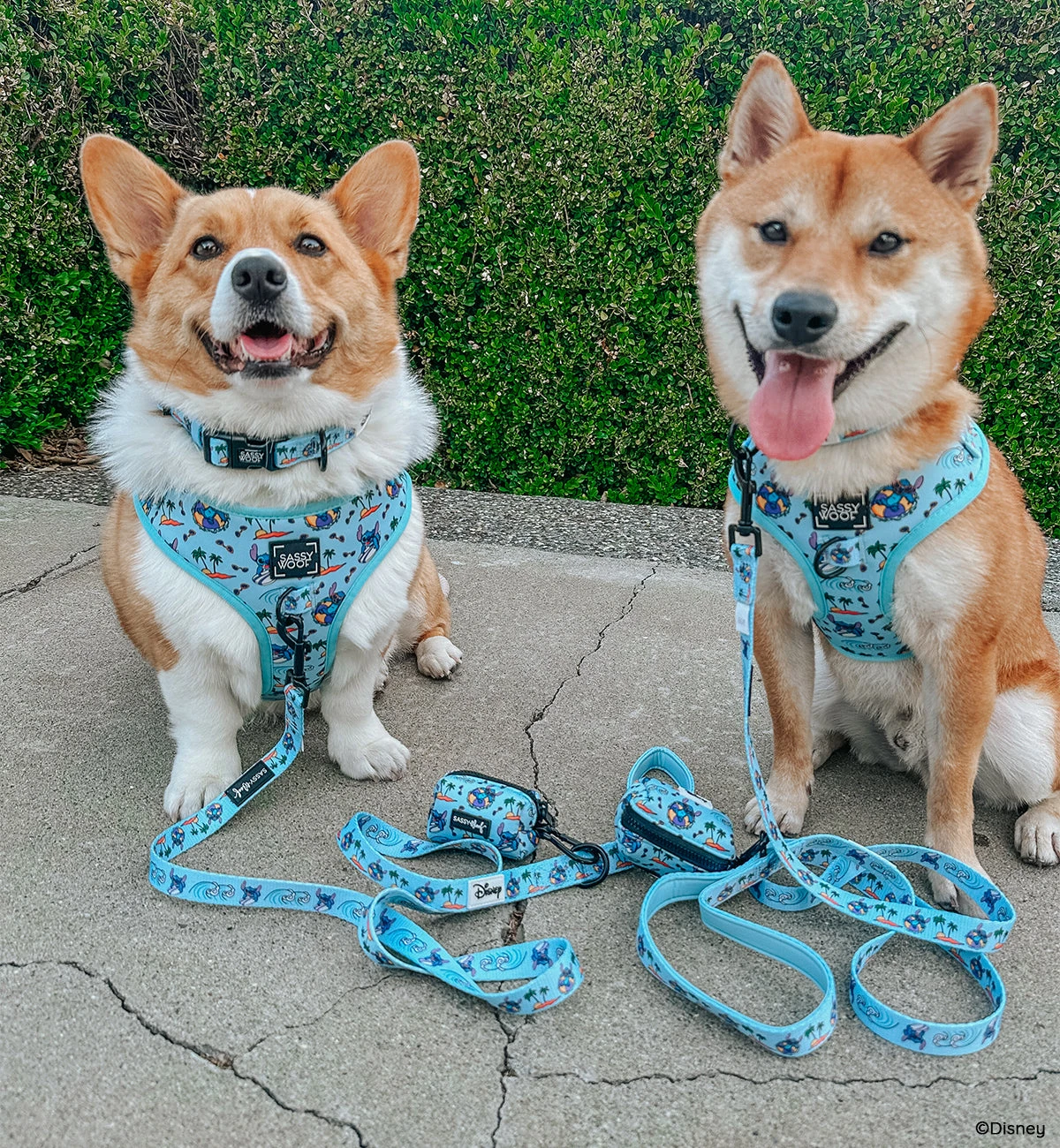 Dog Four Piece Bundle - Disney's Stitch 14 Dog Four Piece Bundle - Disney's Stitch - Image 12