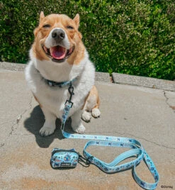 Collar Three Piece Bundle - Disney's Stitch -Furfinity Cheap Shop BAMBOO THELOAF 94e5d525 21a5 460e 9696 ff15609b96ad