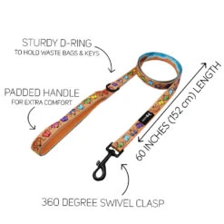 Dog Two Piece Bundle - Muscle Bod -Furfinity Cheap Shop BEACH BOD LEASH GUIDE 0297ba30 731e 44f9 b9b2 c4a80dd91f80