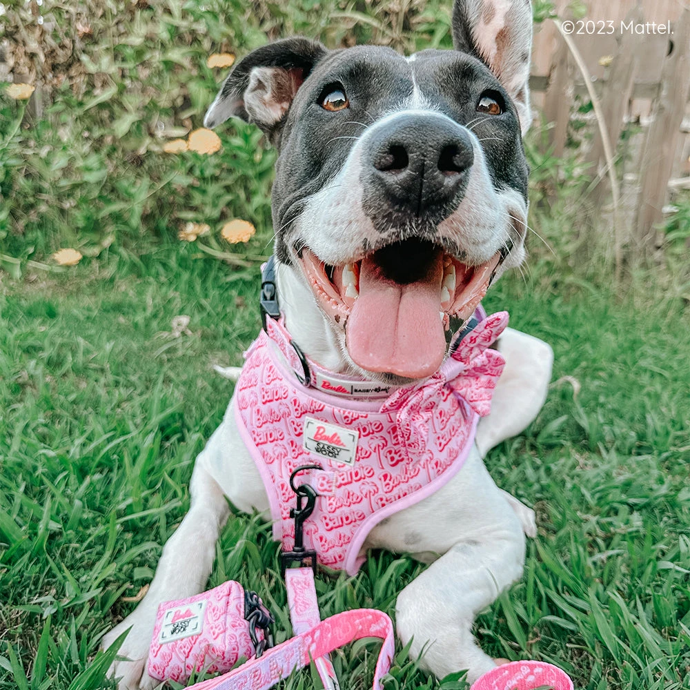 Dog Four Piece Bundle - BARBIE™ Malibu 12 Dog Four Piece Bundle - BARBIE™ Malibu - Image 10