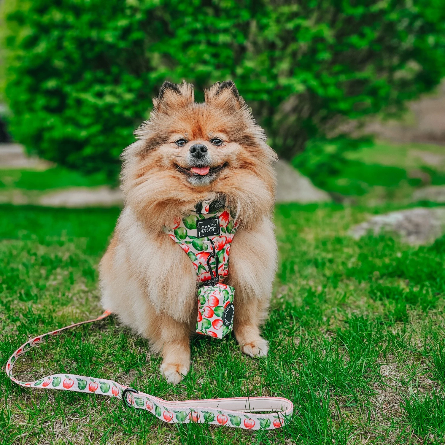 Dog Leash- Apple Of My Eye 11 Dog Leash- Apple Of My Eye - Image 9