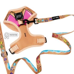 Dog Two Piece Bundle - Bikini Bod