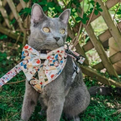 Dog Two Piece Bundle - Disney's Belle -Furfinity Cheap Shop BILBO FLUFFINS 8fa8fde3 2282 4077 8ab5 fbb8f5d0dcae