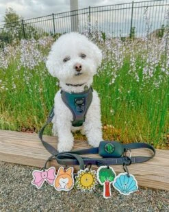 Potty Pal - Tree 15 Potty Pal - Tree -Furfinity Cheap Shop BINGSUTHEBICHON XScXSh e8a737c7 132b 4ac5 a26f 97aef99f247d