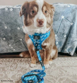 Dog Four Piece Bundle - KEN™ -Furfinity Cheap Shop BLANTONSADVENTURES 3 6dddaa57 8e52 49f2 808b 4aec5efd9f1e