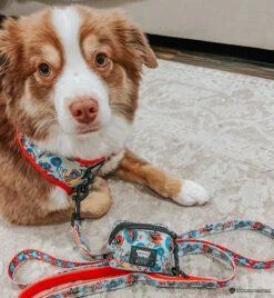 Dog Waste Bag Holder - Looney Tunes™ Blue -Furfinity Cheap Shop BLANTONSADVENTURES 3 804dfa21 5baf 48d0 bfbc f033b232ad76