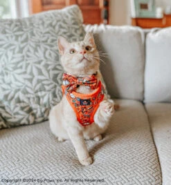 Cat Bowtie - Garfield™ -Furfinity Cheap Shop BOOKO THEBULLYPUP 2 2865919f 292c 4b98 89f9 bf9c28b0bcde