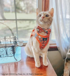 Cat Step-In Harness - Garfield™️ -Furfinity Cheap Shop BOOKO THEBULLYPUP 5