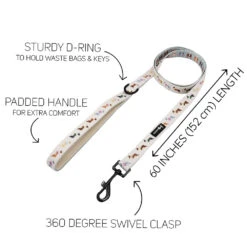 Dog Four Piece Bundle - Bold Boston Terriers -Furfinity Cheap Shop BOSTON TERRIER LEASH GUIDE