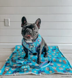 Dog Four Piece Bundle - STAR WARS™ The Mandalorian™ -Furfinity Cheap Shop BOWIE AND COBAIN d03ae135 dc43 44cd af7b e52ce5ab9563