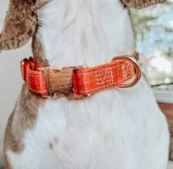 Dog Collar - Foxy 19 Dog Collar - Foxy -Furfinity Cheap Shop BUDDYTHEDAPPLEPIEBALD 1 a9c85e95 fcbd 497b 8d6b 803dc856f429
