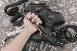 Dog Collar - Baby Got Black -Furfinity Cheap Shop Baby Got Black Dog Harness SEt