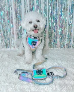 Dog Two Piece Bundle - Reflection -Furfinity Cheap Shop BingsuTheBichon 14de0104 5c27 4e08 9f17 9f9c249b79c7