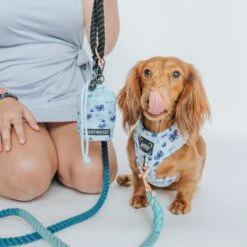 Treat Pouch - Berry Sassy -Furfinity Cheap Shop BlueberryTreatPouch LifestyleImages 3