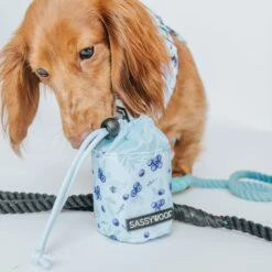 Treat Pouch - Berry Sassy -Furfinity Cheap Shop BlueberryTreatPouch LifestyleImages 6